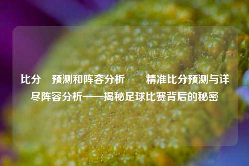 比分⚽预测和阵容分析✌️精准比分预测与详尽阵容分析——揭秘足球比赛背后的秘密
