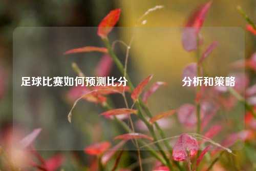 足球比赛如何预测比分⚽🏀分析和策略