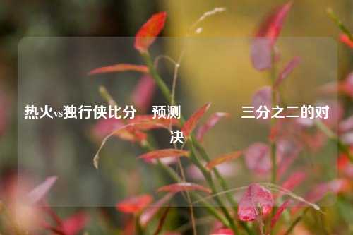 热火vs独行侠比分⚽预测🌈三分之二的对决