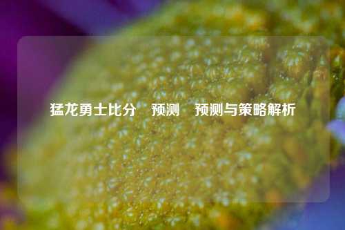 猛龙勇士比分⚽预测⚽预测与策略解析