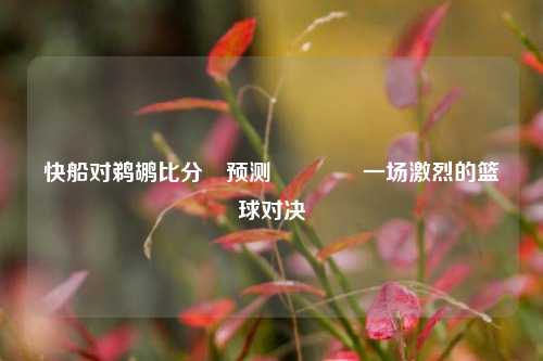 快船对鹈鹕比分⚽预测👍一场激烈的篮球对决