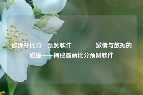 欧洲杯比分⚽预测软件👈激情与数据的碰撞——揭秘最新比分预测软件