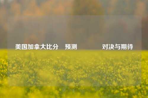 美国加拿大比分⚽预测👉对决与期待