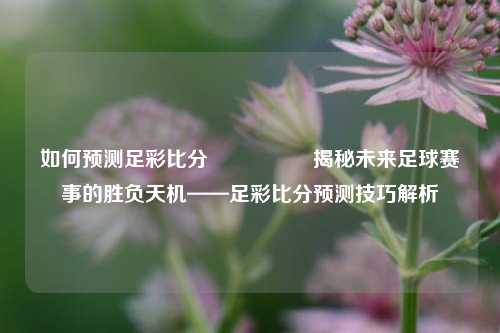 如何预测足彩比分⚽🏆揭秘未来足球赛事的胜负天机——足彩比分预测技巧解析