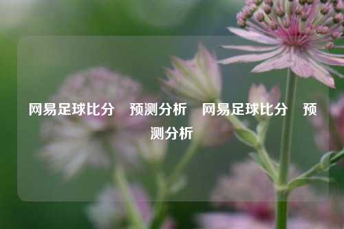 网易足球比分⚽预测分析⚾网易足球比分⚽预测分析