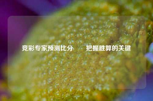 竞彩专家预测比分⚽⚽把握胜算的关键