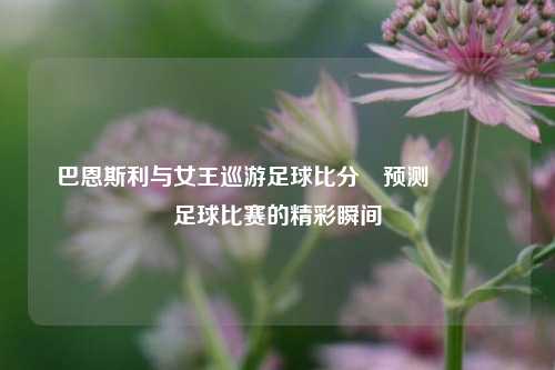 巴恩斯利与女王巡游足球比分⚽预测🏅足球比赛的精彩瞬间