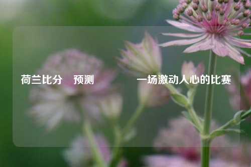 荷兰比分⚽预测🏆一场激动人心的比赛