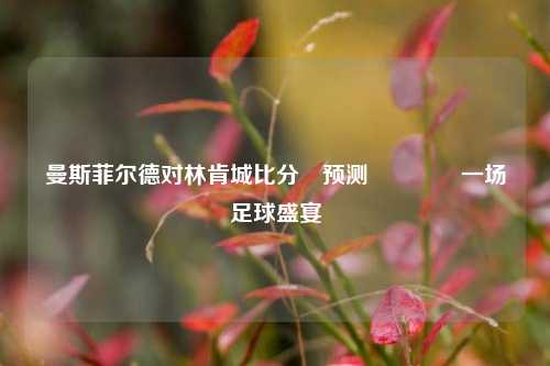 曼斯菲尔德对林肯城比分⚽预测👍一场足球盛宴