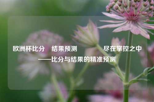 欧洲杯比分⚽结果预测🌈尽在掌控之中——比分与结果的精准预测