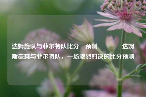 达姆施队与菲尔特队比分⚽预测🏅达姆斯豪森与菲尔特队，一场激烈对决的比分预测
