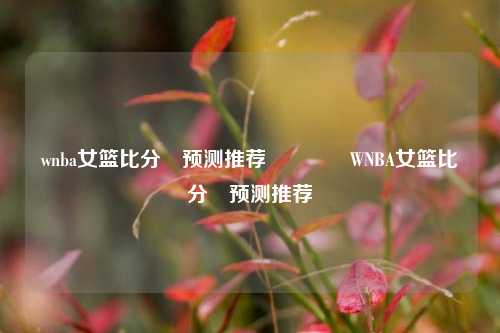 wnba女篮比分⚽预测推荐🏀WNBA女篮比分⚽预测推荐