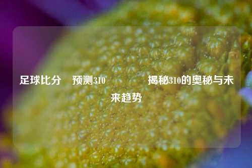 足球比分⚽预测310👉揭秘310的奥秘与未来趋势