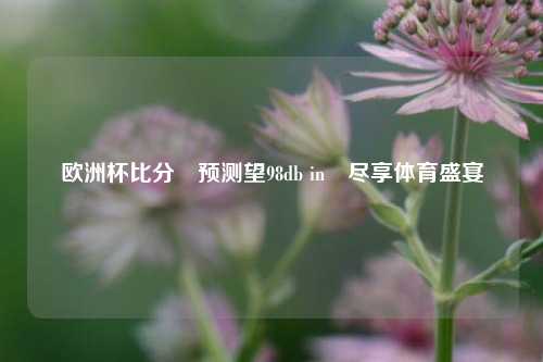 欧洲杯比分⚽预测望98db in⚽尽享体育盛宴