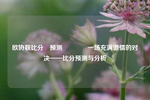 欧协联比分⚽预测🏐一场充满激情的对决——比分预测与分析