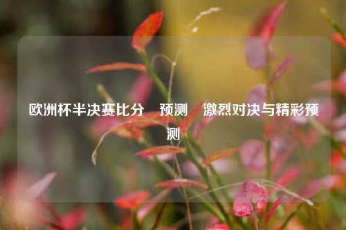 欧洲杯半决赛比分⚽预测⚾激烈对决与精彩预测
