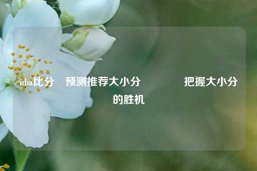 nba比分⚽预测推荐大小分👈把握大小分的胜机