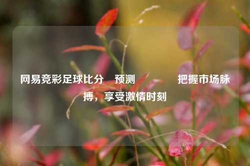 网易竞彩足球比分⚽预测🥉把握市场脉搏,享受激情时刻