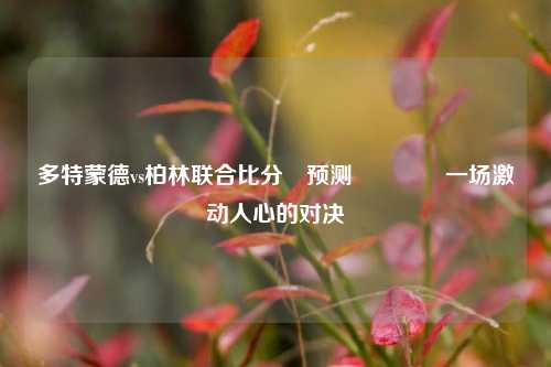 多特蒙德vs柏林联合比分⚽预测👍一场激动人心的对决