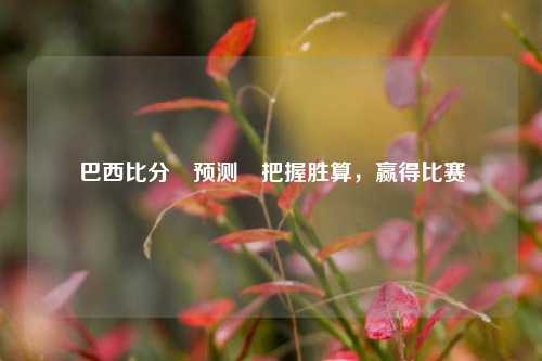 巴西比分⚽预测⚾把握胜算，赢得比赛