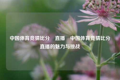 中国体育竞猜比分⚽直播⚽中国体育竞猜比分⚽直播的魅力与挑战