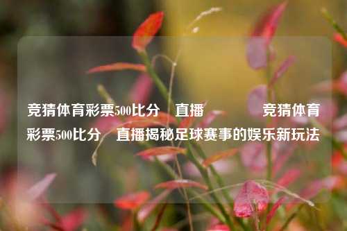 竞猜体育彩票500比分⚽直播👉竞猜体育彩票500比分⚽直播揭秘足球赛事的娱乐新玩法