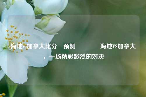 海地vs加拿大比分⚽预测👍海地VS加拿大，一场精彩激烈的对决
