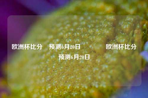 欧洲杯比分⚽预测6月20日🏀欧洲杯比分⚽预测6月20日