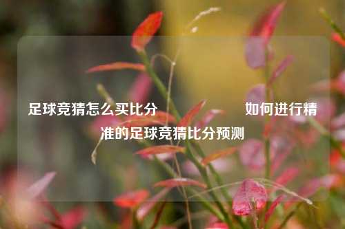 足球竞猜怎么买比分⚽🎖️如何进行精准的足球竞猜比分预测