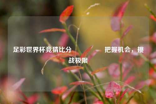 足彩世界杯竞猜比分⚽👍把握机会，挑战极限