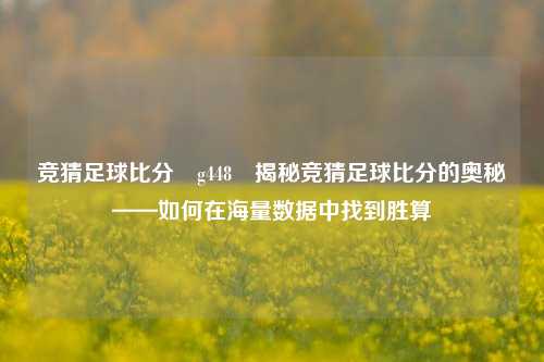 竞猜足球比分⚽g448⚾揭秘竞猜足球比分的奥秘——如何在海量数据中找到胜算