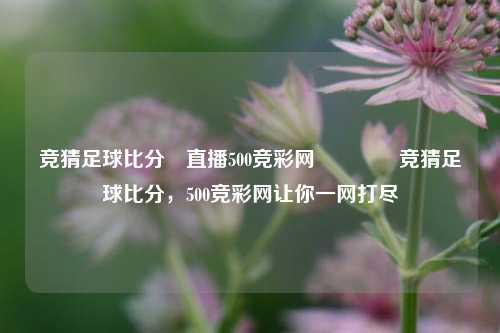 竞猜足球比分⚽直播500竞彩网🥎竞猜足球比分，500竞彩网让你一网打尽