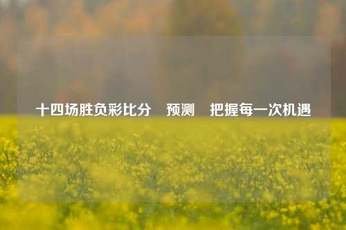十四场胜负彩比分⚽预测⚽把握每一次机遇