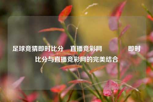 足球竞猜即时比分⚽直播竞彩网🥇即时比分与直播竞彩网的完美结合