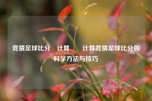 竞猜足球比分⚽计算✌️计算竞猜足球比分的科学方法与技巧