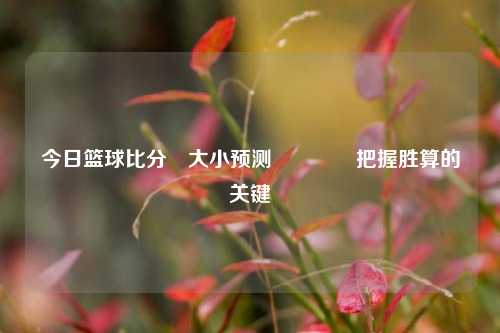 今日篮球比分⚽大小预测🥇把握胜算的关键