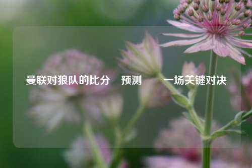 曼联对狼队的比分⚽预测✌️一场关键对决