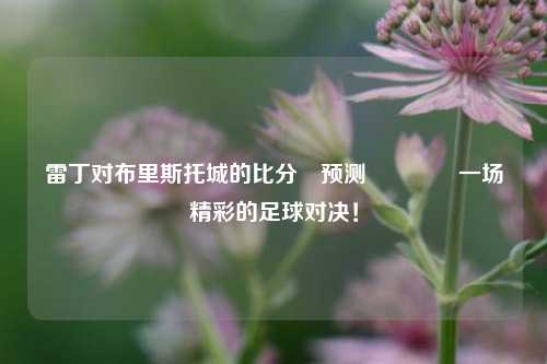 雷丁对布里斯托城的比分⚽预测🏐一场精彩的足球对决！