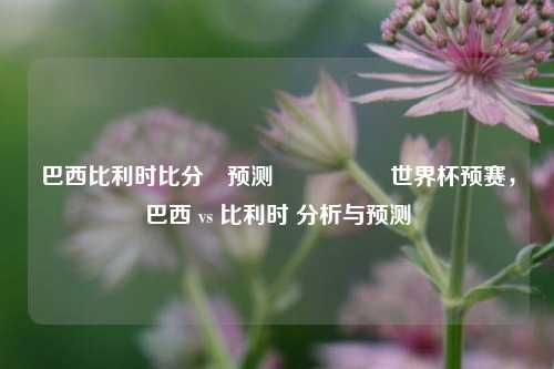 巴西比利时比分⚽预测🎖️世界杯预赛，巴西 vs 比利时 分析与预测