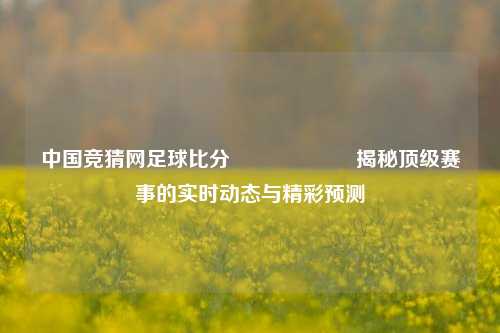 中国竞猜网足球比分⚽🎖️揭秘顶级赛事的实时动态与精彩预测
