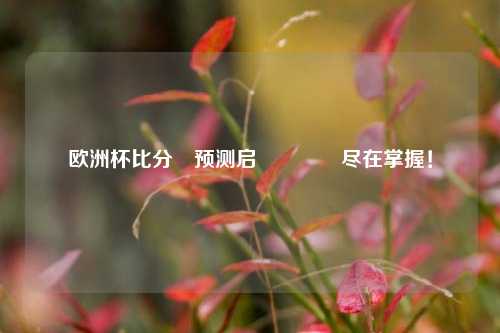 欧洲杯比分⚽预测启👉尽在掌握！