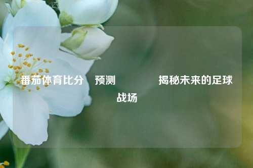 番茄体育比分⚽预测🥉揭秘未来的足球战场