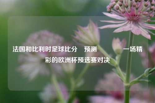 法国和比利时足球比分⚽预测🏐一场精彩的欧洲杯预选赛对决