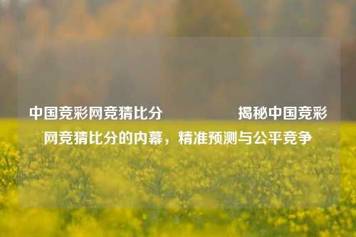 中国竞彩网竞猜比分⚽👈揭秘中国竞彩网竞猜比分的内幕，精准预测与公平竞争