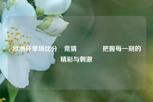 欧洲杯单场比分⚽竞猜🏅把握每一刻的精彩与刺激