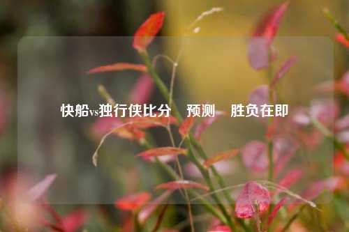 快船vs独行侠比分⚽预测⚽胜负在即