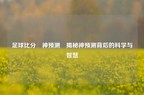 足球比分⚽神预测⚽揭秘神预测背后的科学与智慧