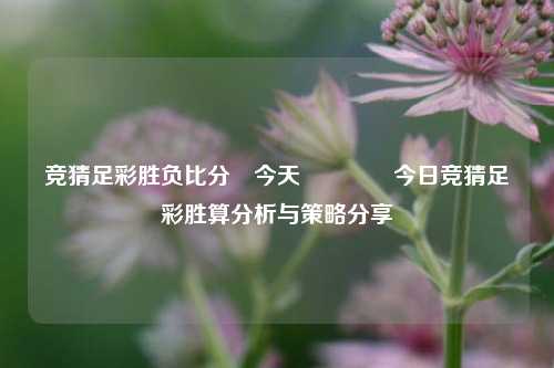 竞猜足彩胜负比分⚽今天👍今日竞猜足彩胜算分析与策略分享
