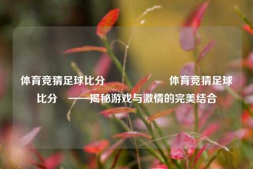体育竞猜足球比分⚽🎖️体育竞猜足球比分⚽——揭秘游戏与激情的完美结合
