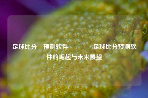 足球比分⚽预测软件🥈足球比分预测软件的崛起与未来展望